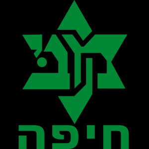 סטיקרים בתפזורת